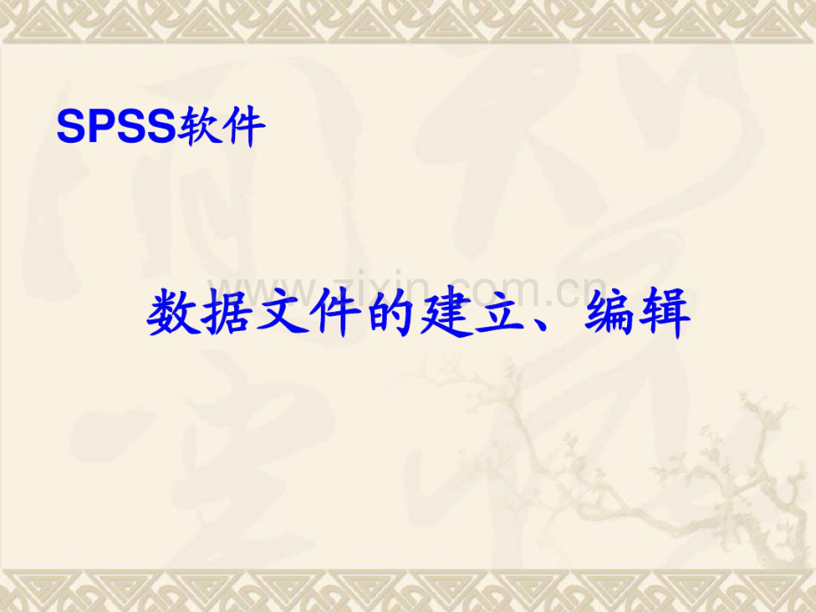 SPSS数据文件的建立、编缉-(2).pdf_第1页