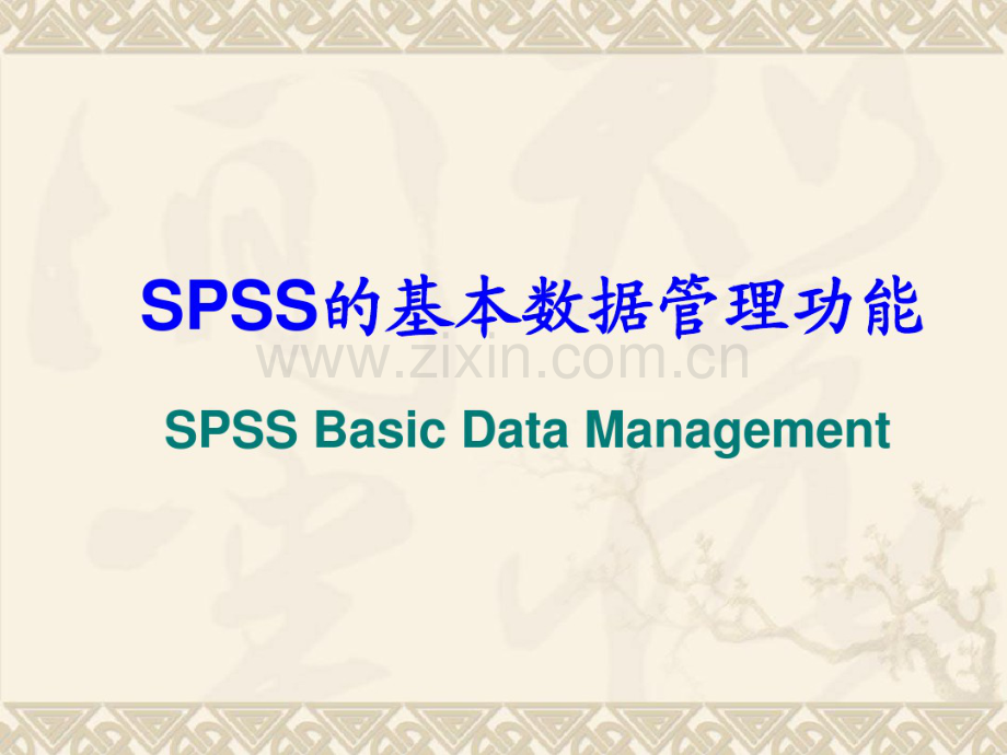 SPSS数据文件的建立、编缉-(2).pdf_第2页