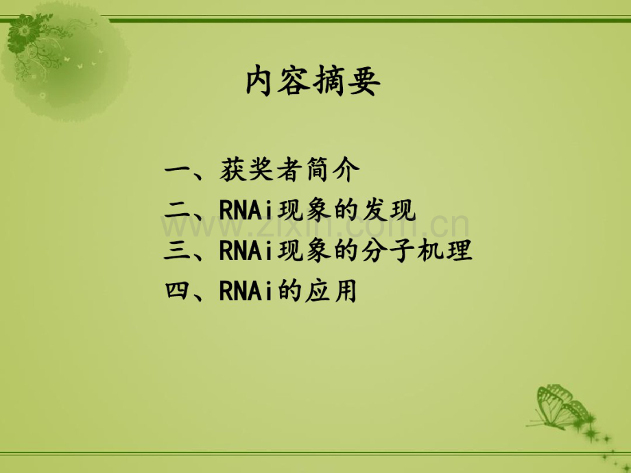 RNAi-2006诺贝尔生理学奖或医学奖.pdf_第2页