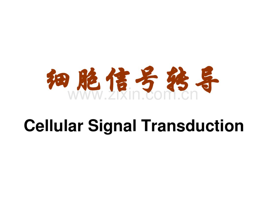 生化细胞信号传导.pdf_第1页