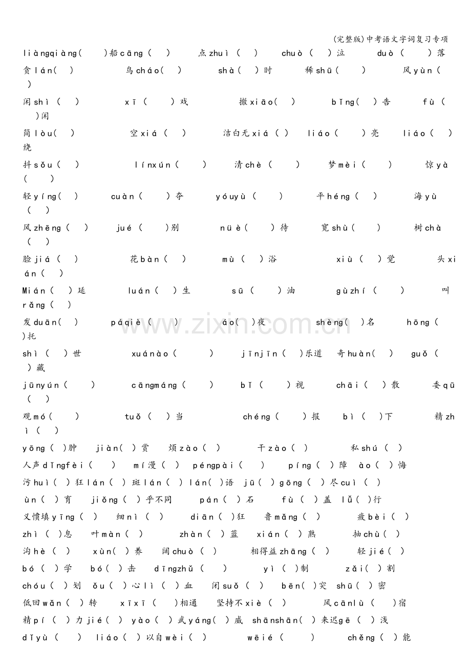 中考语文字词复习专项.doc_第2页
