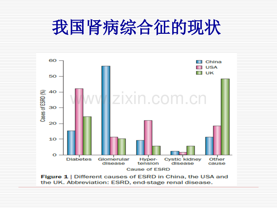 肾病综合征分级诊疗.ppt_第2页