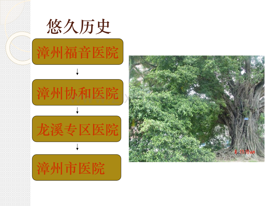 漳州市医院简介.ppt_第2页