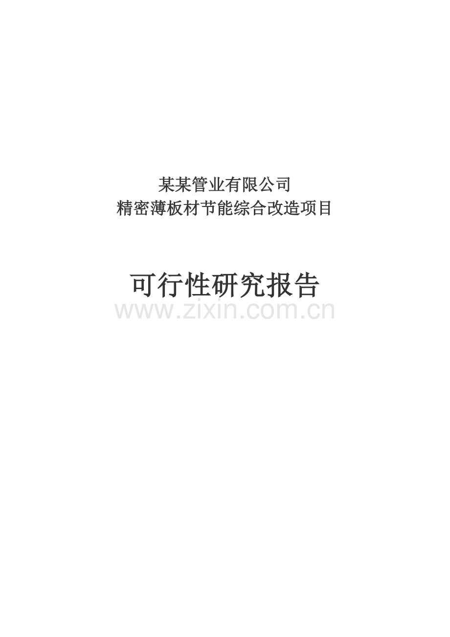 精密薄板材节能综合改造项目建设投资可行性研究报告.doc_第1页