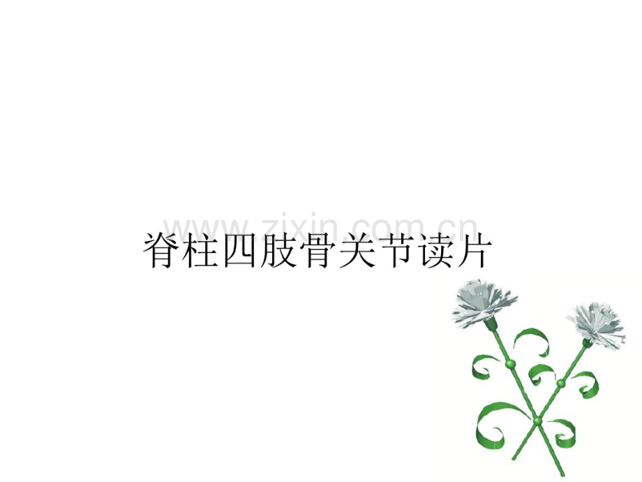 脊柱四肢骨关节影像诊断.pdf_第1页
