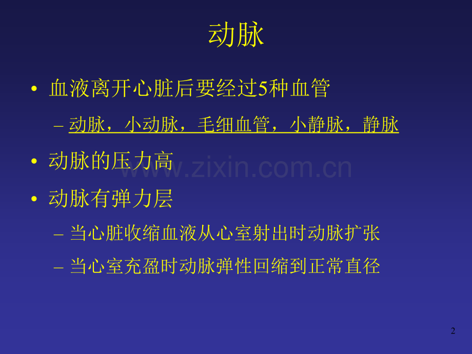 神经血管的解剖(医学PPT课件).ppt_第2页