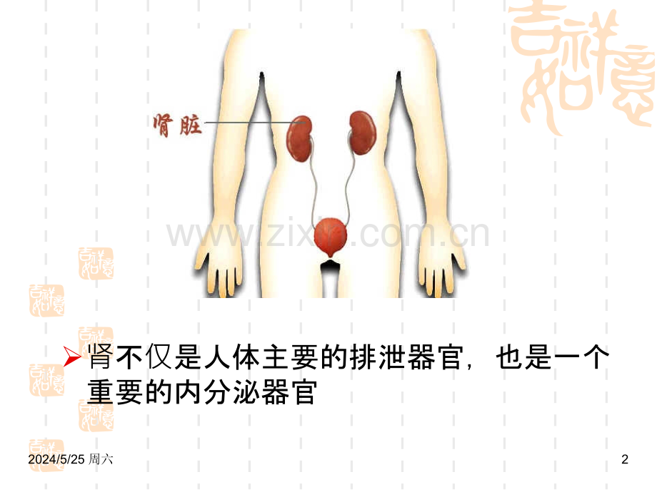慢性肾小球肾炎(教学).ppt_第2页