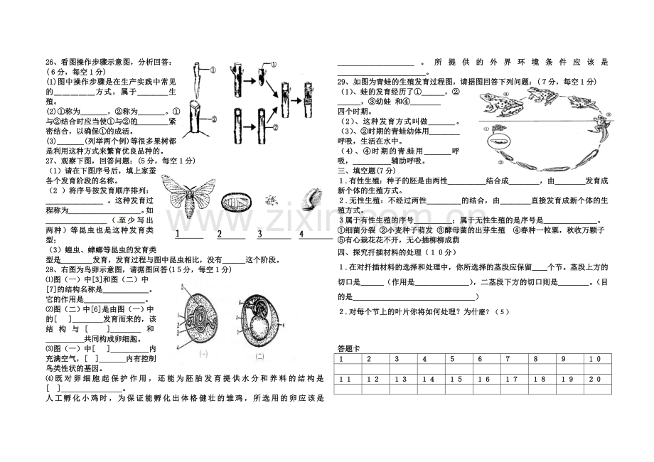 八年级生物下册第七单元第一章单元测试题.doc_第2页