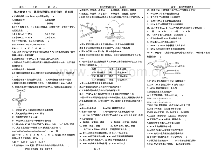 第四章第1节基因指导蛋白质的合成练习题.doc_第1页