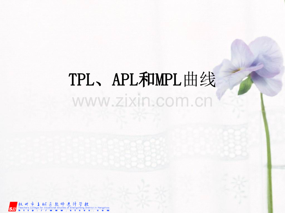 一种可变要素生产函数.ppt_第1页