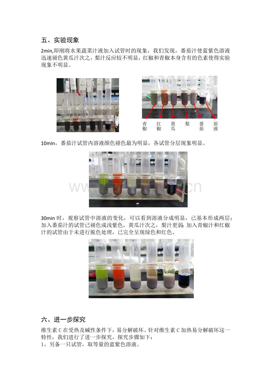 维生素C的探究实验.doc_第2页