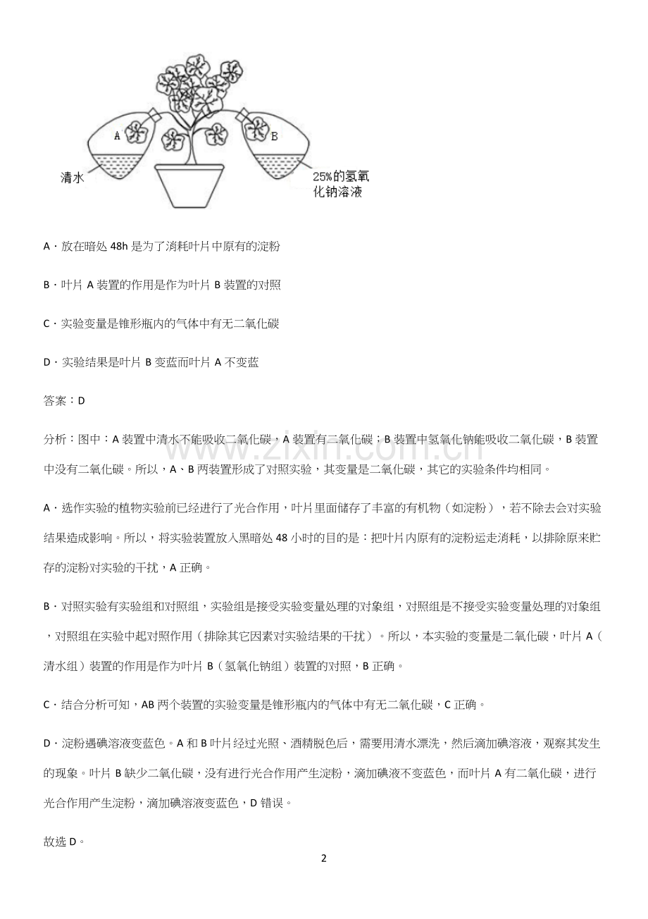 人教版2023初中生物七年级上册第三单元生物圈中的绿色植物考点总结.docx_第2页