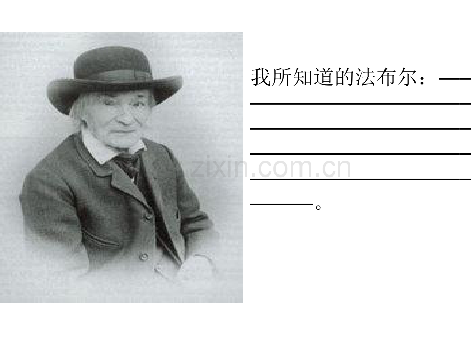 《昆虫记》1ppt.ppt_第2页