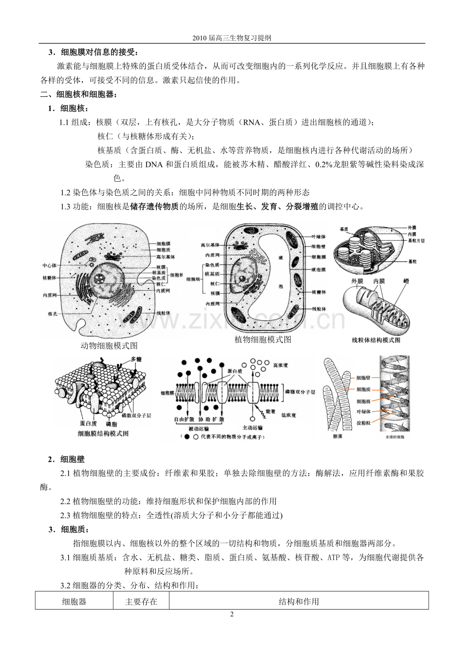 第三章生命的结构基础.doc_第2页