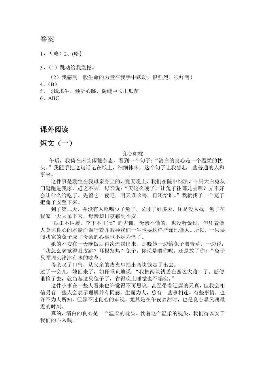 良心如枕阅读.doc_第2页