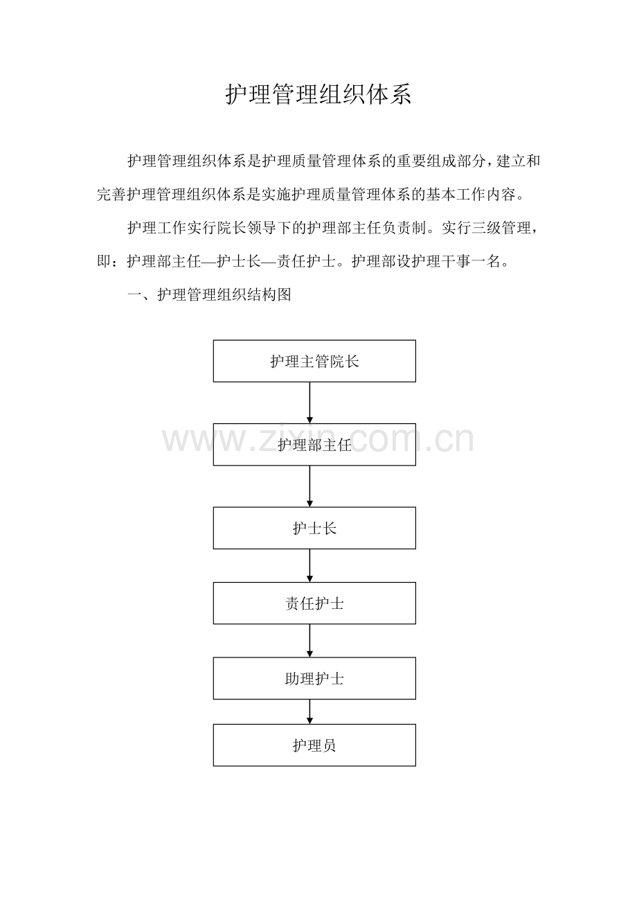 护理管理组织体系.doc_第1页