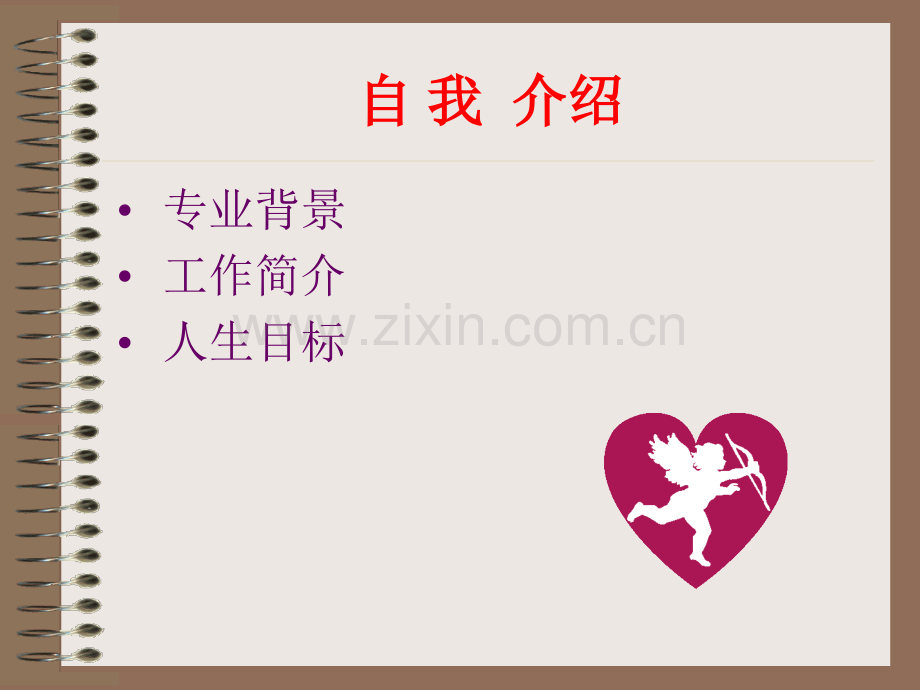 专业态度与销售技巧.ppt_第2页