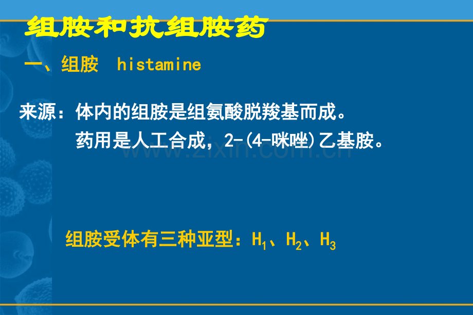 抗组胺药的临床应用.ppt_第2页