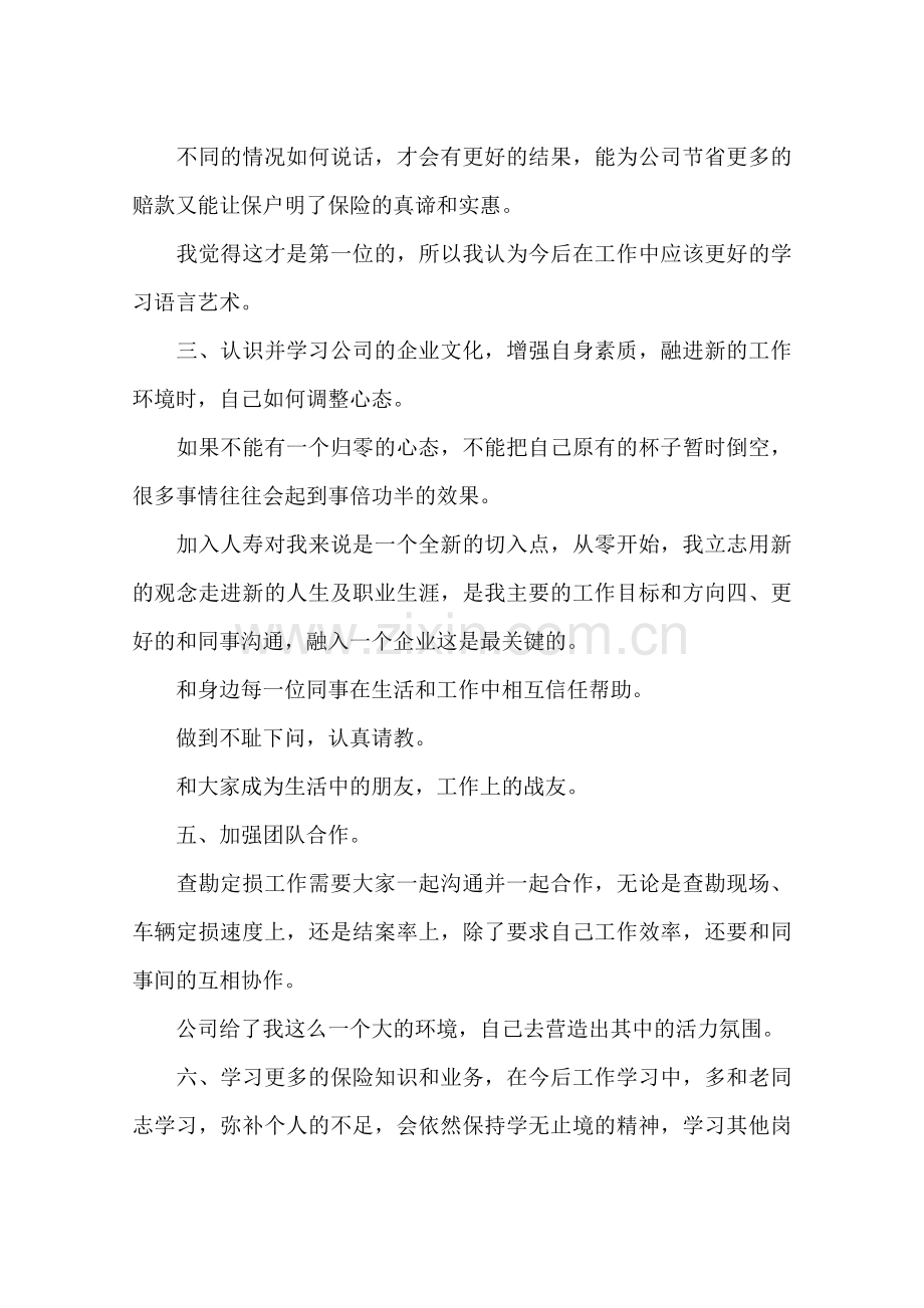 查勘员个人总结.doc_第2页