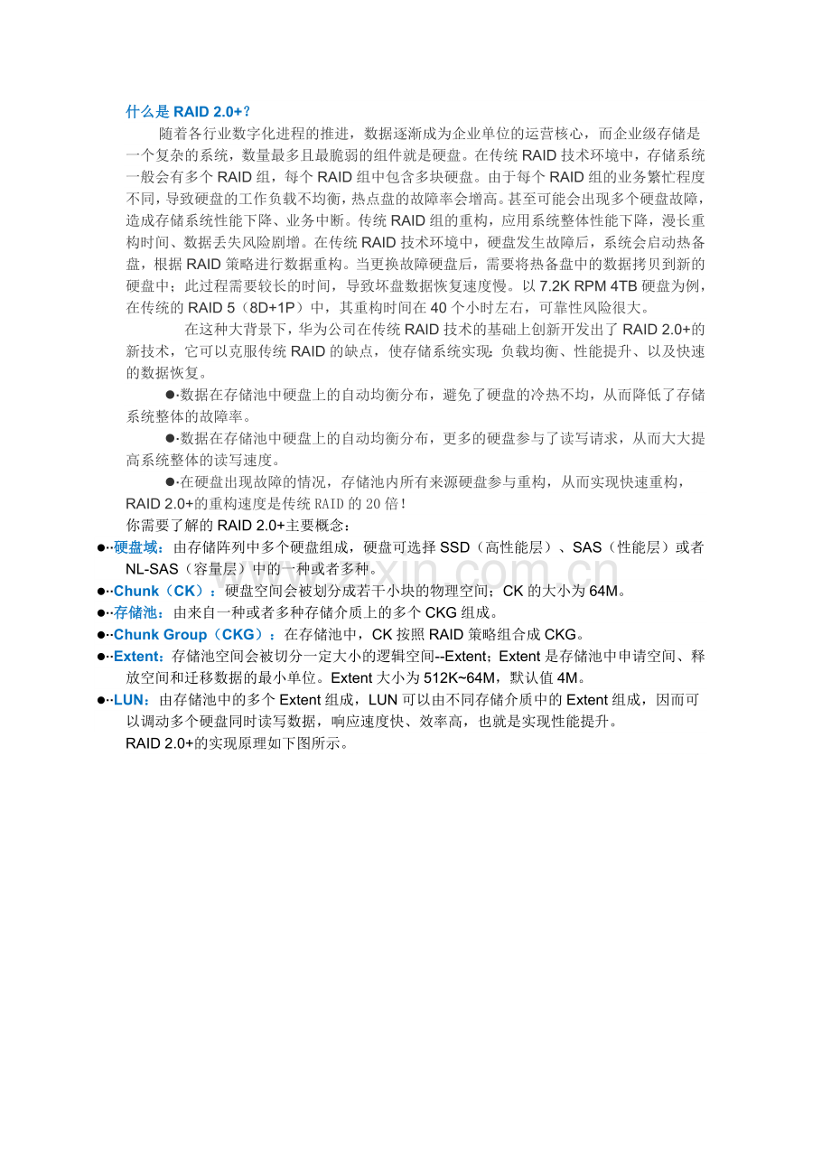 RAID2.0+.doc_第1页