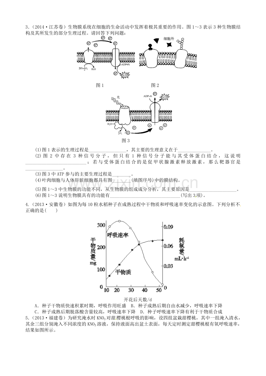 高三生物一轮复习专题呼吸作用练习.doc_第2页