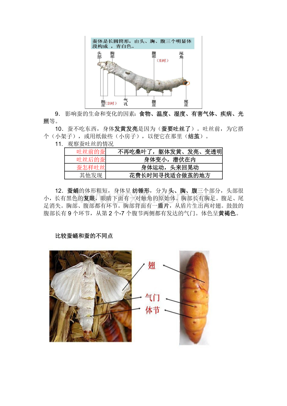 第二单元《动物的生命周期》知识点整理.doc_第2页