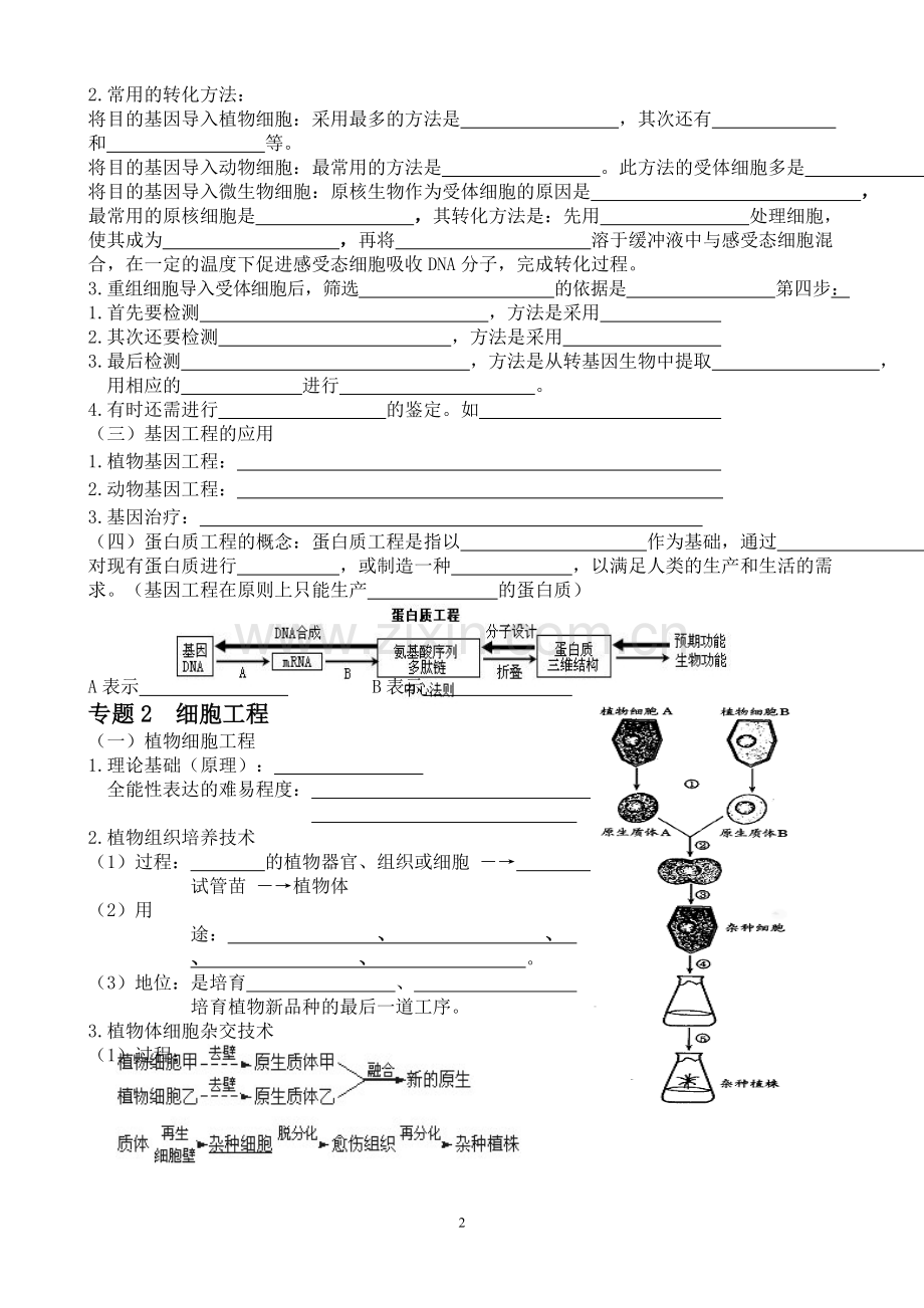 高中生物选修三知识点总结填空版.doc_第2页