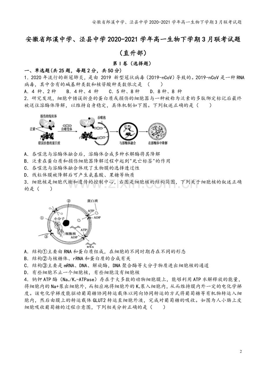 安徽省郎溪中学、泾县中学2020-2021学年高一生物下学期3月联考试题.doc_第2页