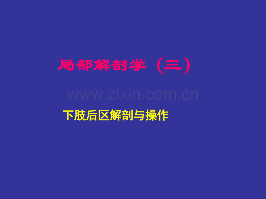 下肢后区解剖与操作-人体局解剖学-课件-03.ppt_第1页