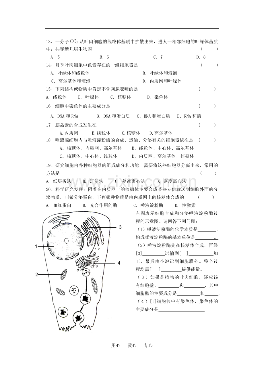 高中生物细胞膜和细胞器-练习题必修一.doc_第2页