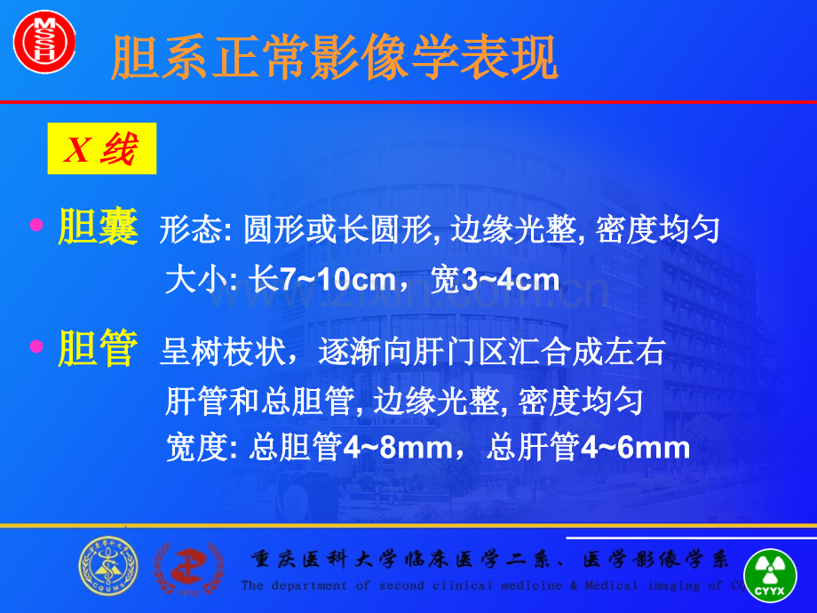 肝胆胰脾2.ppt_第2页