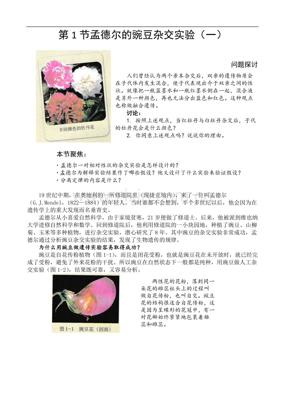 第1节孟德尔的豌豆杂交实验(一).doc_第1页
