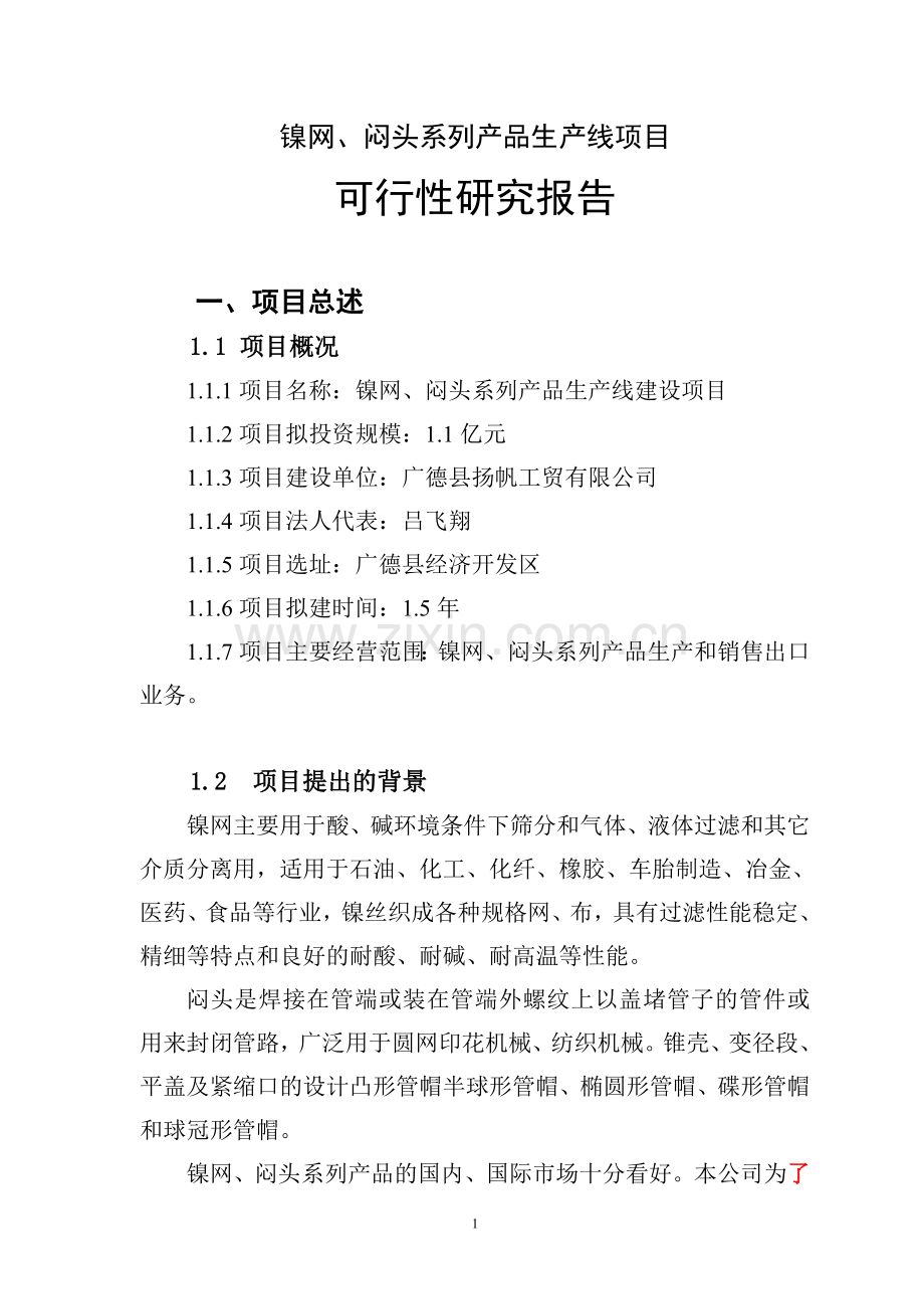 镍网、闷头系列产品生产线项目建设可行性研究论证报告.doc_第1页