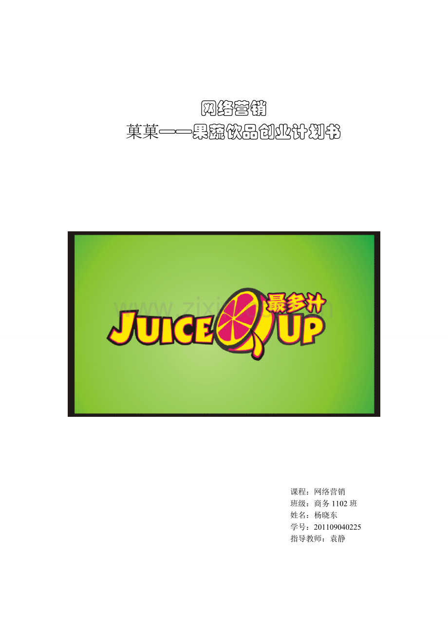 果蔬饮品创业谋划方案书.doc_第1页