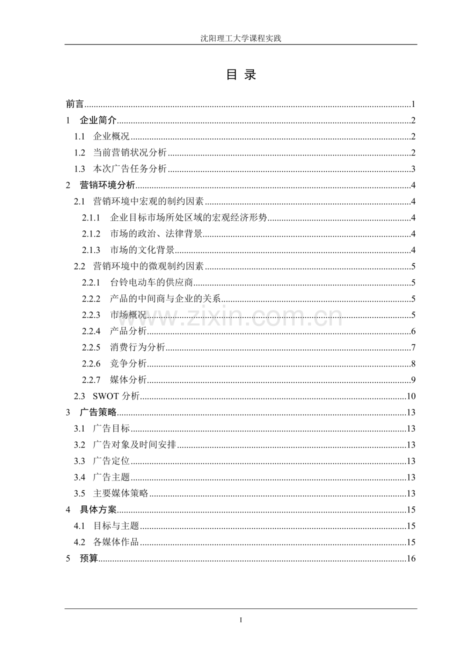 策划方案-—台玲电动车广告计划书大学课程实践.doc_第2页