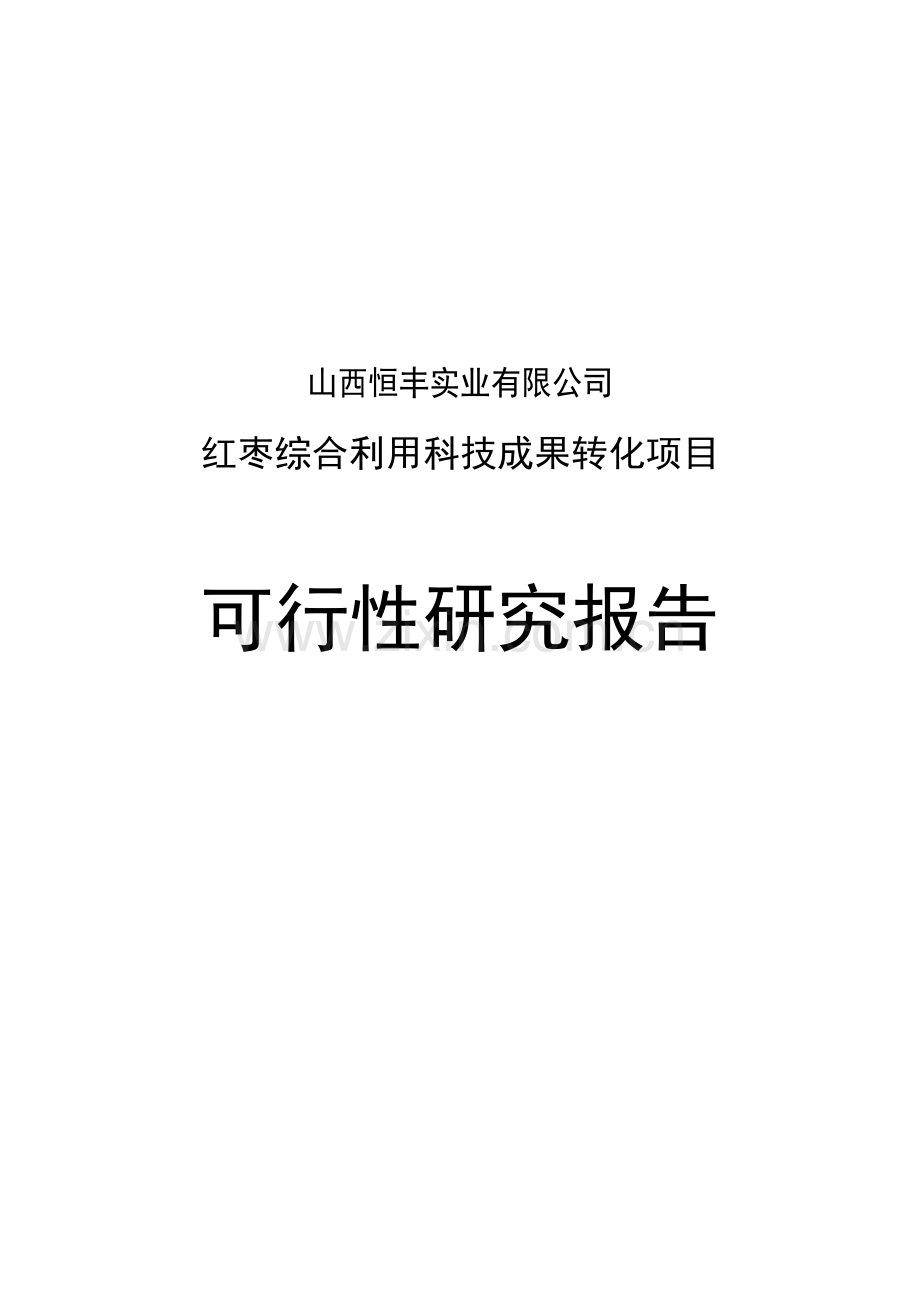 红枣综合利用科技成果转化项目可行性策划书(新).doc_第1页
