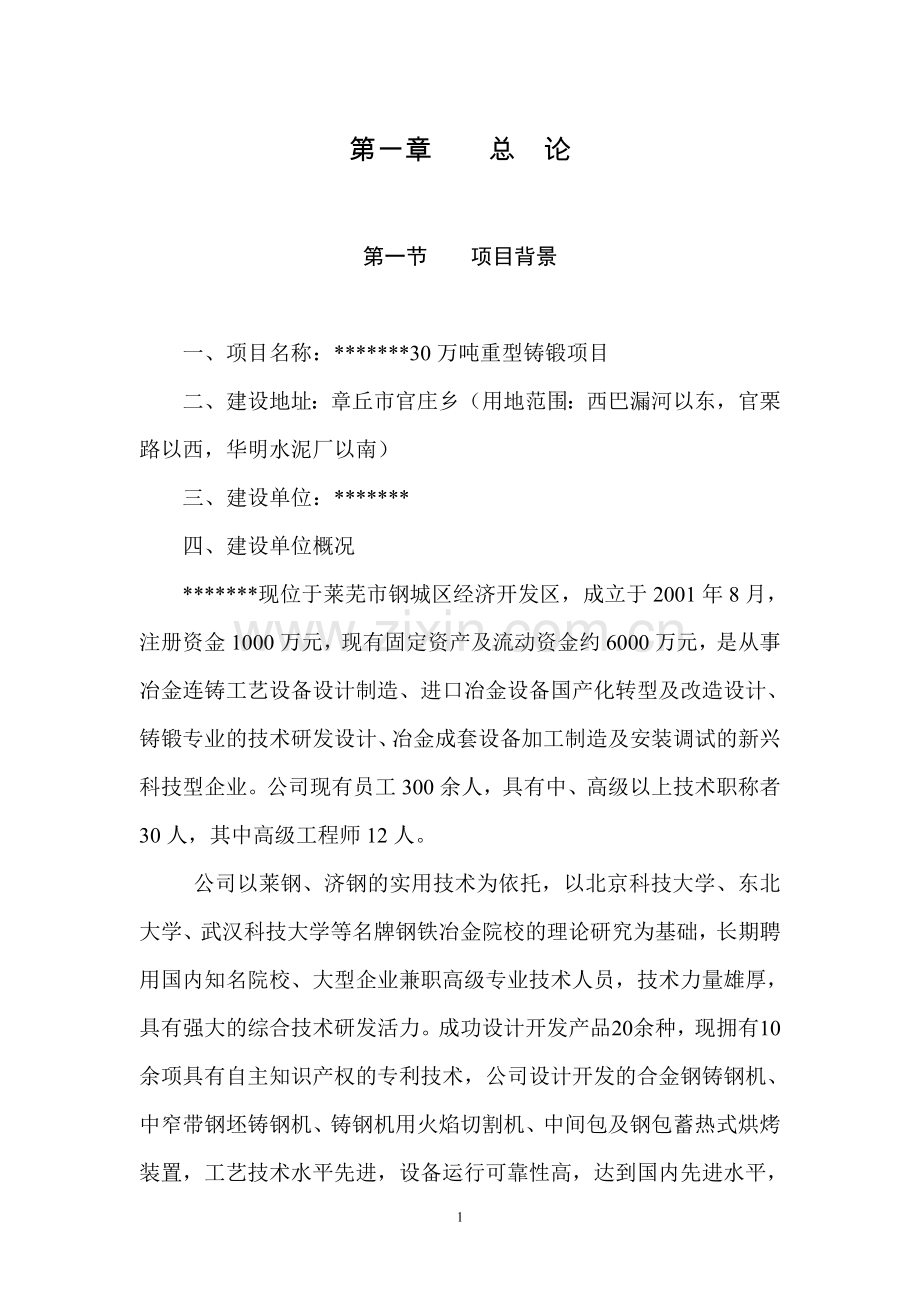 30万吨重型铸锻项目可行性研究报告.doc_第1页