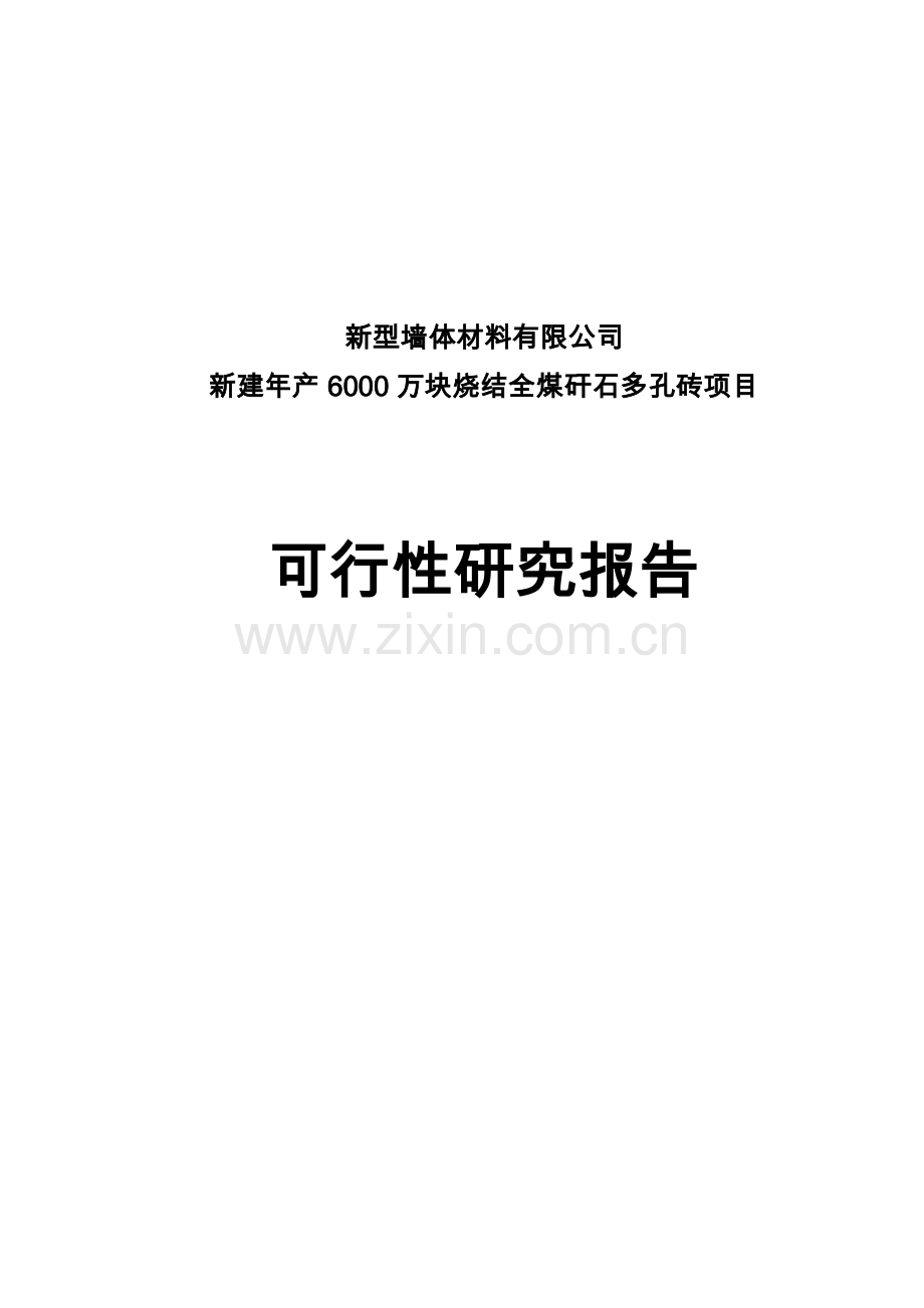 新型墙体材料可行性论证报告.doc_第1页