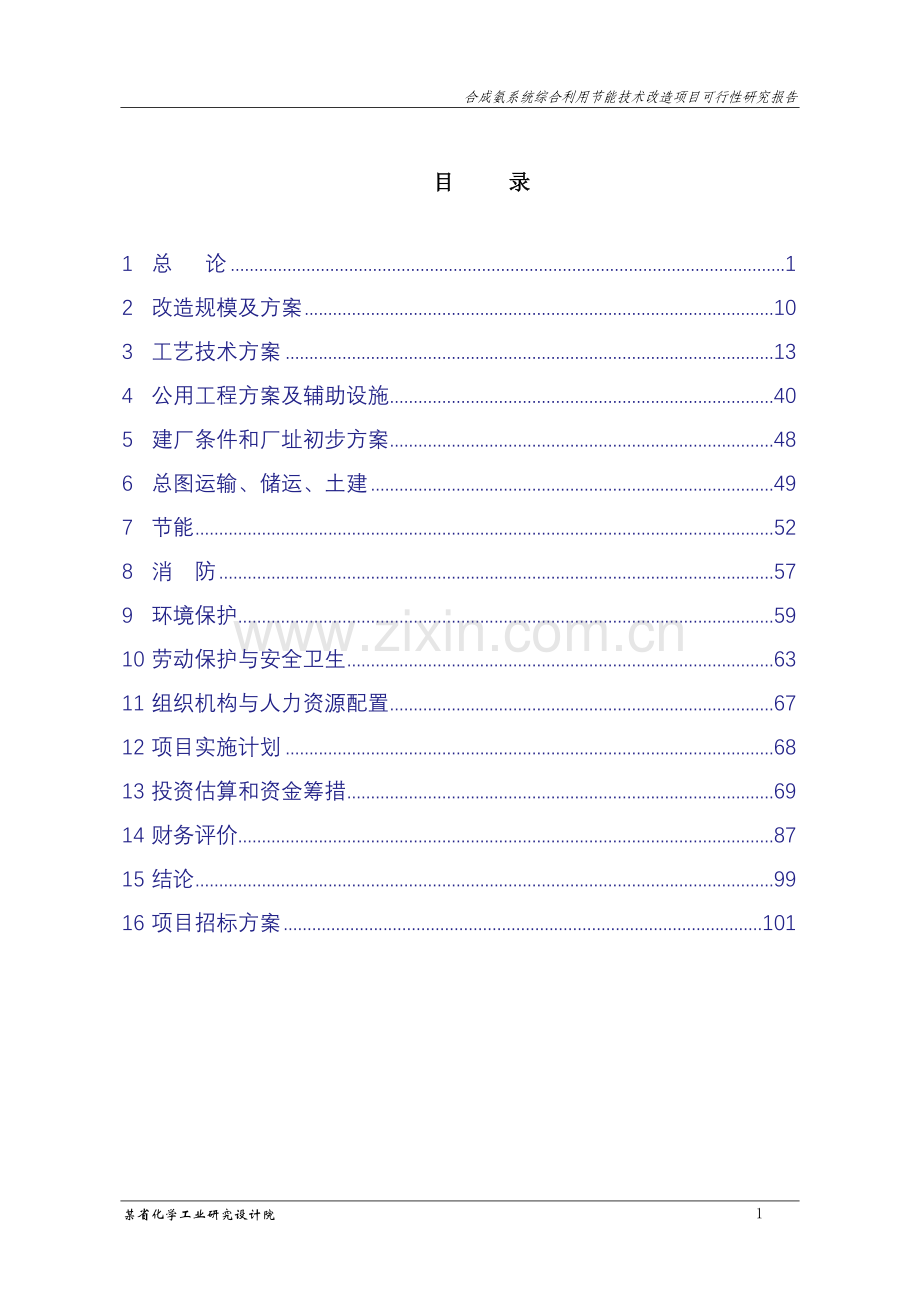某市化学工业有限公司合成氨系统综合利用节能技术改造项目建设可行性研究报告.doc_第2页