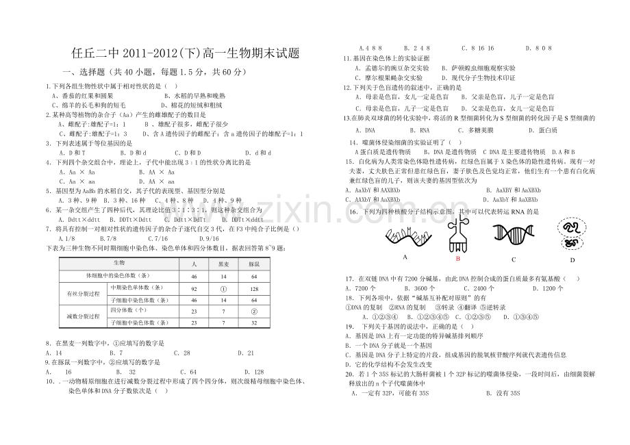 人教版高中生物必修二期末试题.doc_第1页