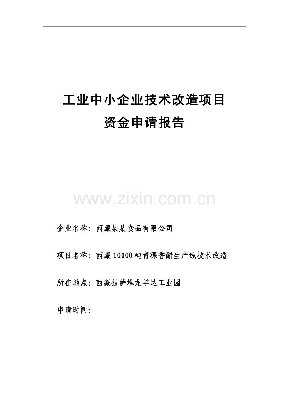 西藏10000吨青稞香醋生产线资金可行性研究报告书(工业中小企业技术改造).doc_第1页