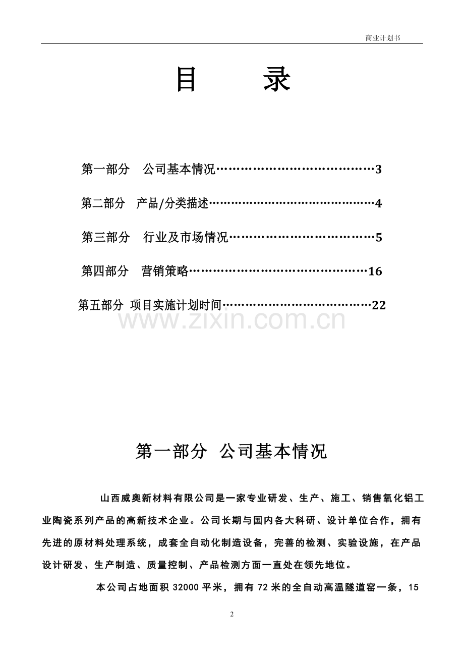 填料球网络销售推广可行性研究报告.doc_第2页