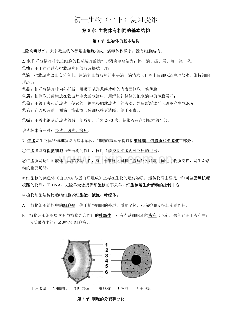 江苏地区初一生物复习提纲(下).doc_第1页