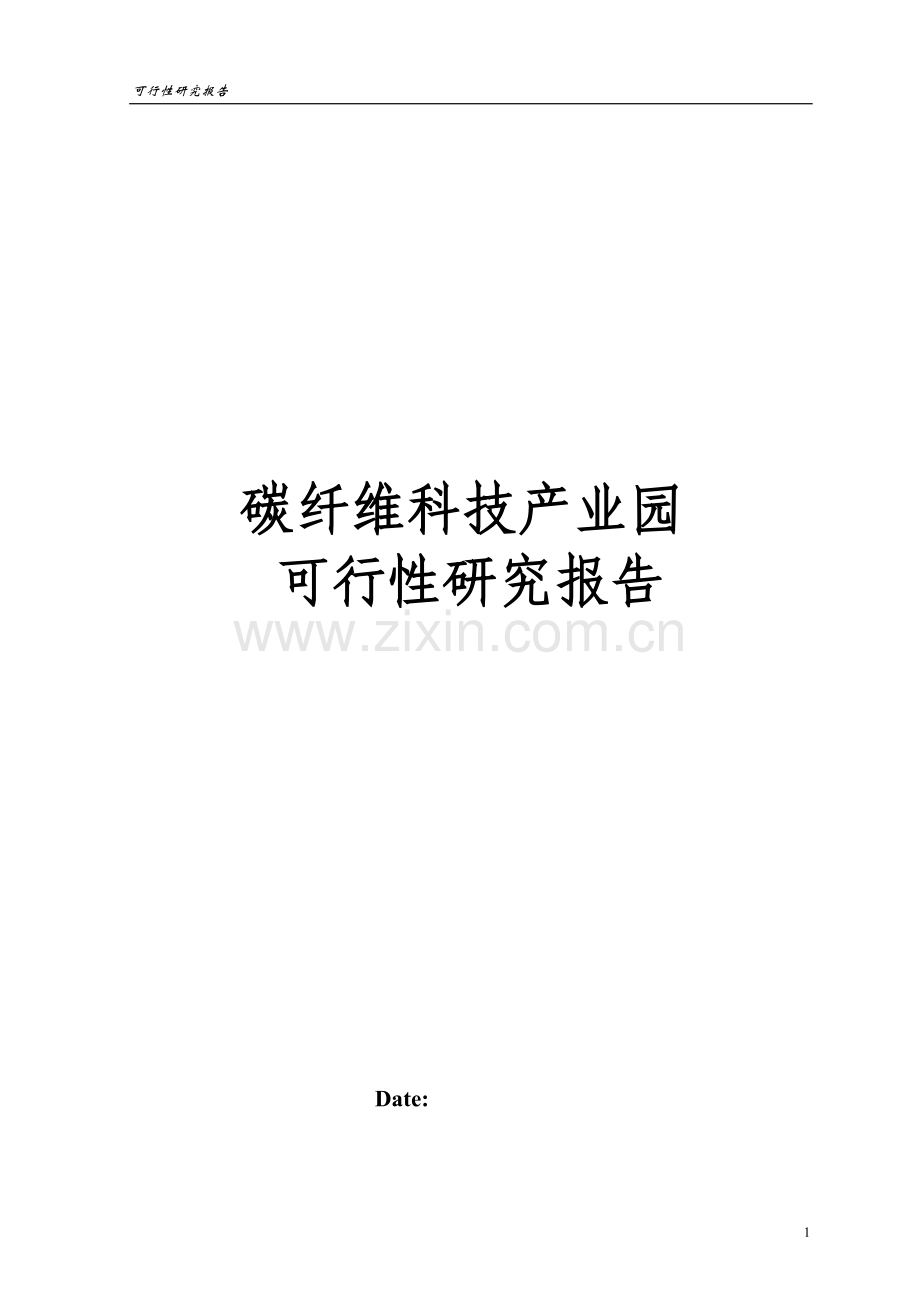 碳纤维科技产业园可行性论证报告.doc_第1页