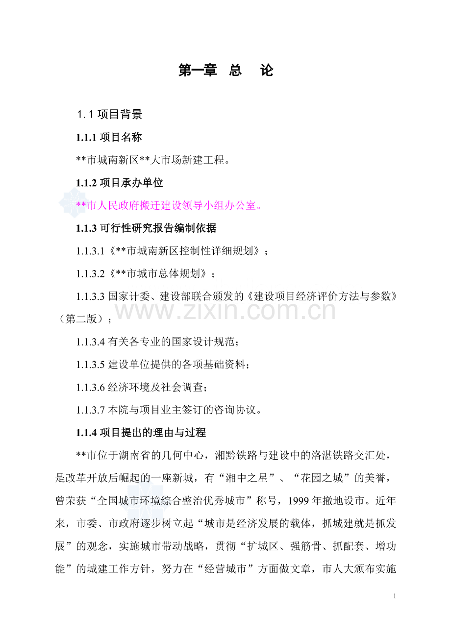湖南某市批发大市场可行性论证报告.doc_第1页