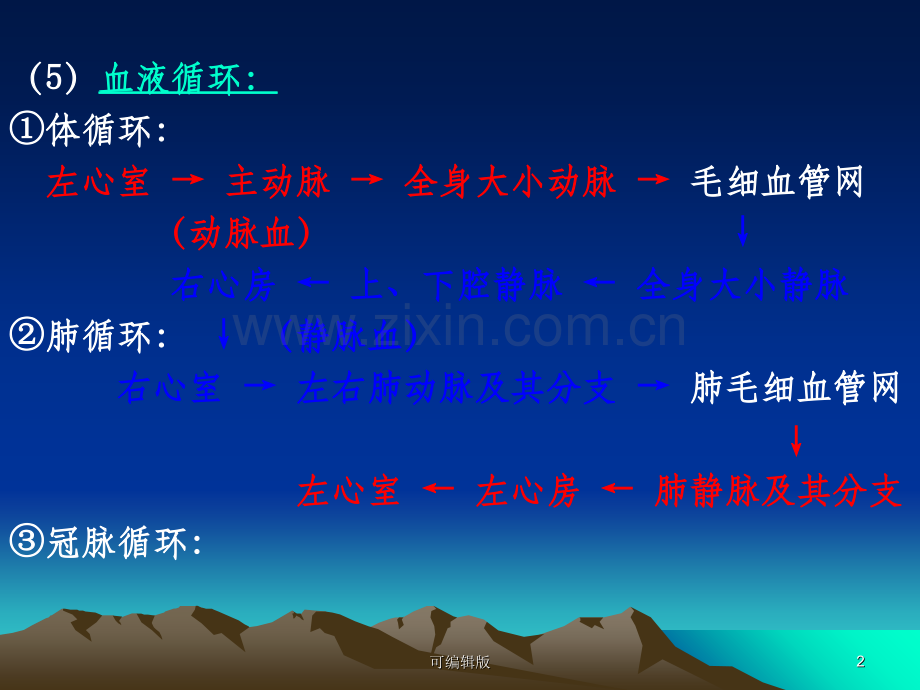 死亡与尸体现象09上半年无安乐死.ppt_第2页