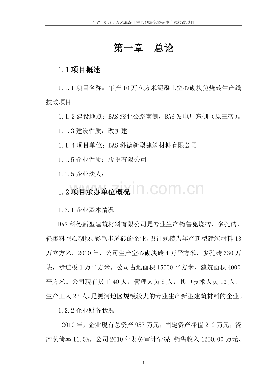 新型建筑材料混凝土空心砌块免烧砖生产线改造项目资金可行性论证报告.doc_第1页