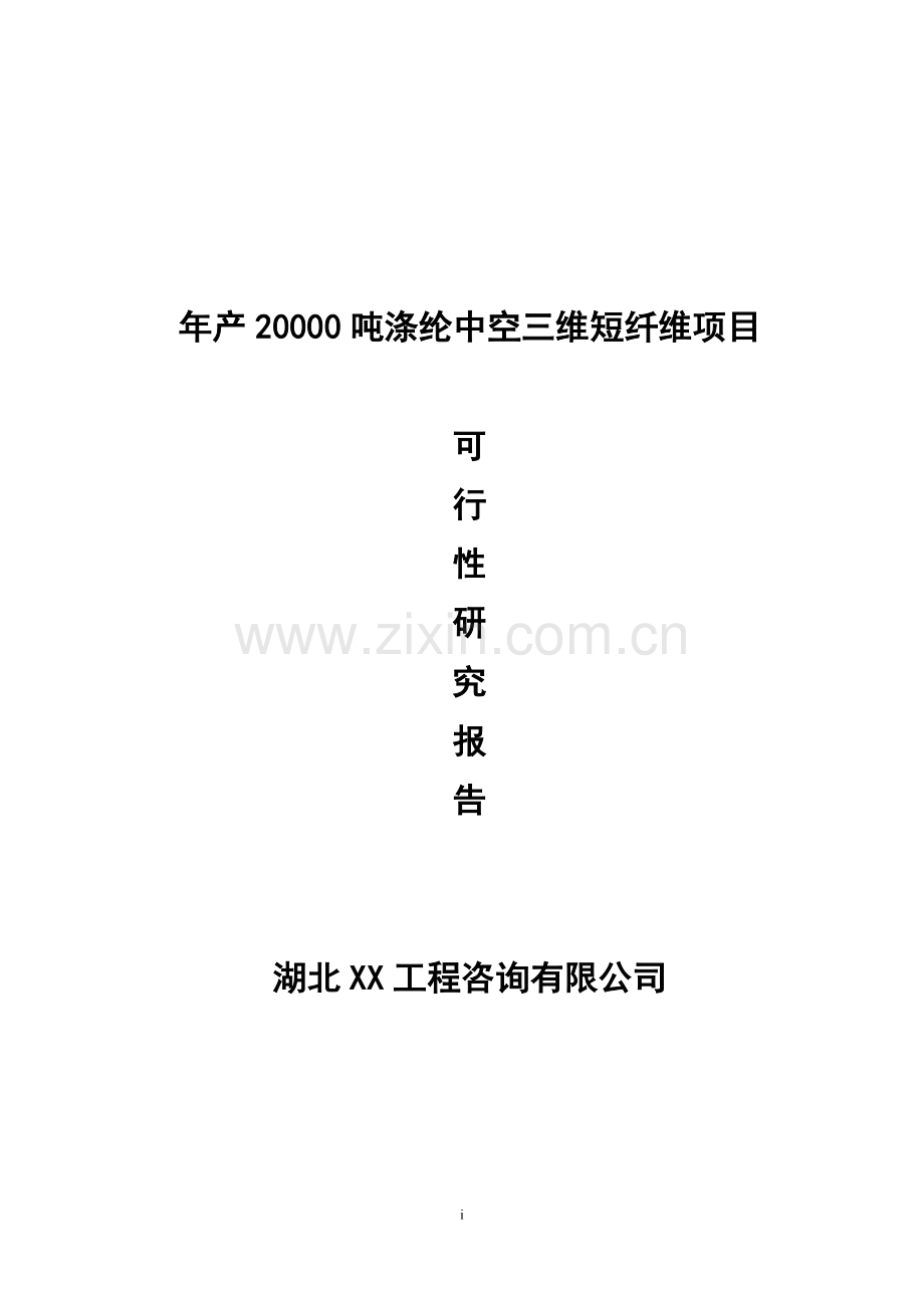 涤纶中空三维短纤维项目可行性论证报告.doc_第1页