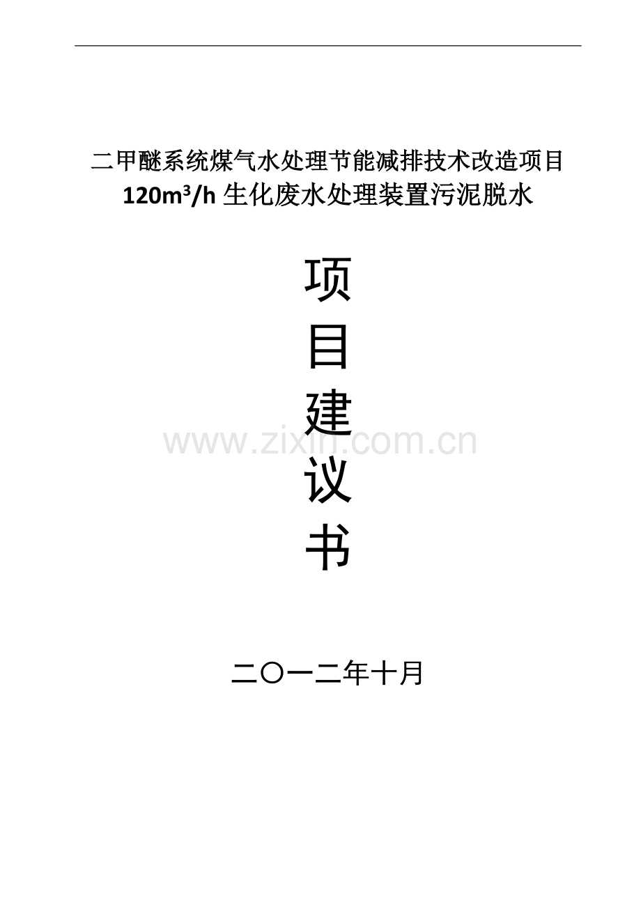 老生化污泥脱水项目建设可行性研究报告.doc_第1页