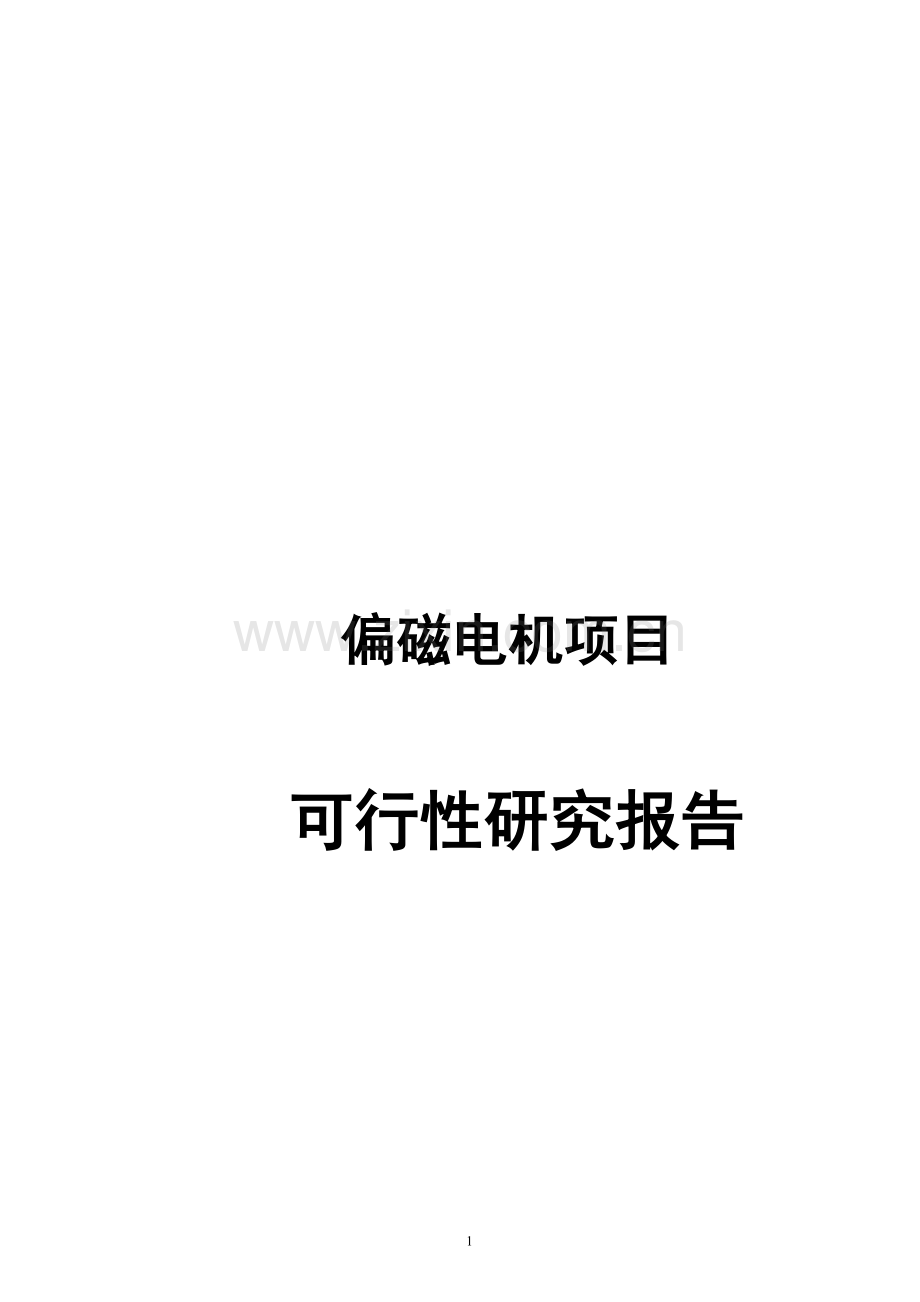 偏磁电机项目建设可行性研究报告.doc_第1页